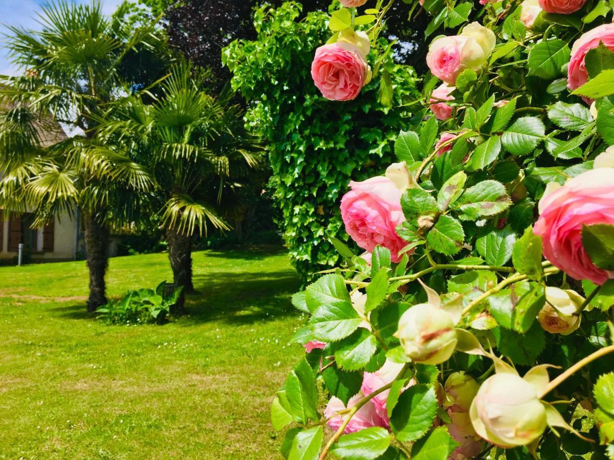 L'Orée du Mans Sillé-le-Philippe Extérieur photo